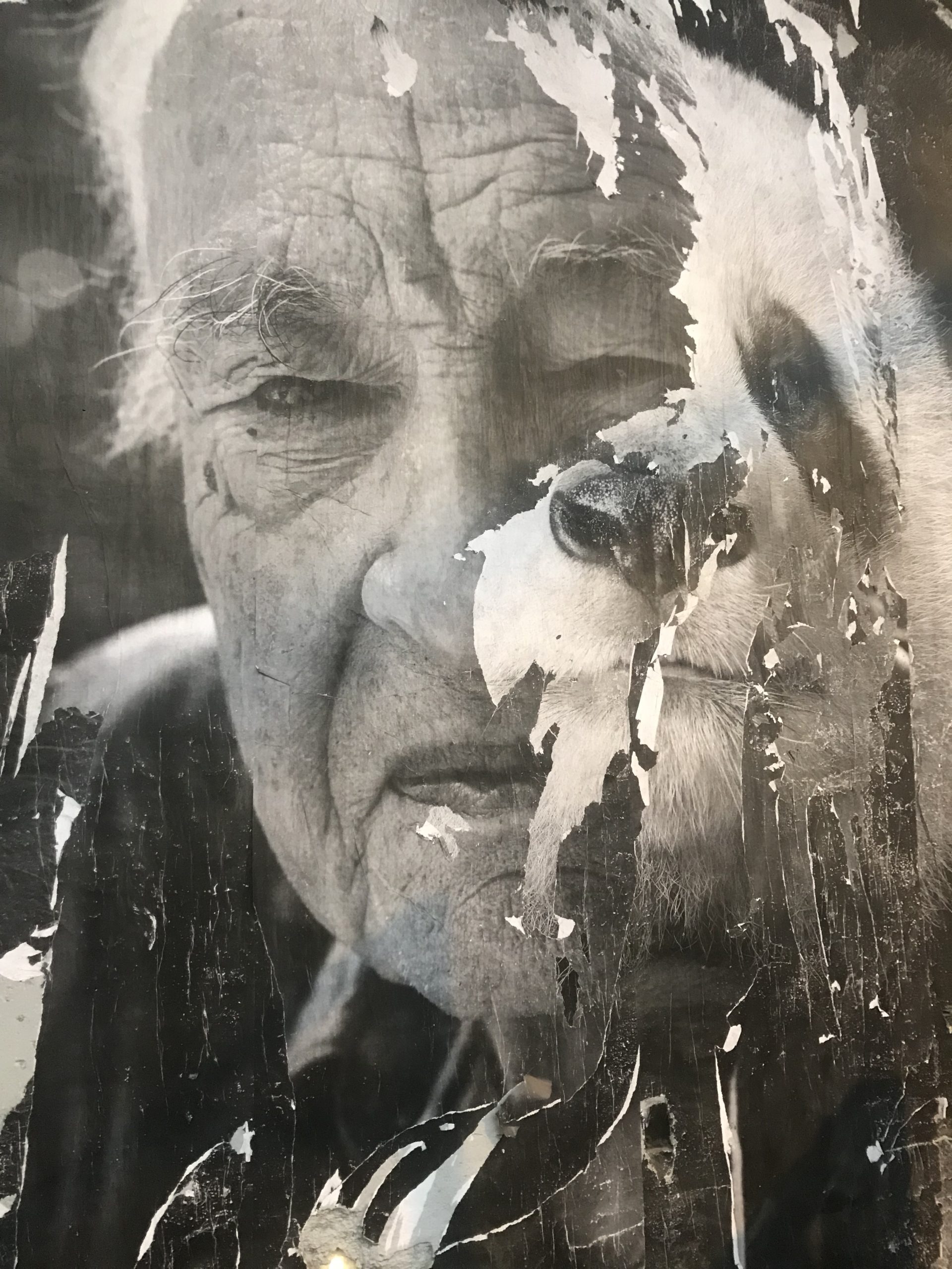 Interdisciplinary Artist img 7873