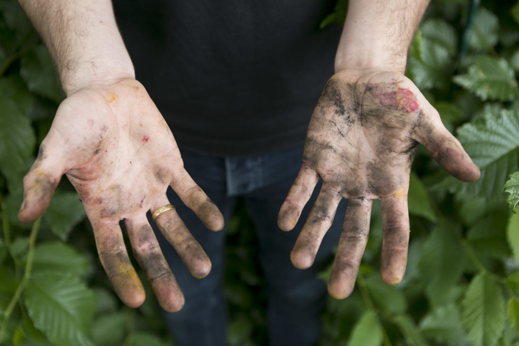 stalberts ben19 eonicarey 0379 2